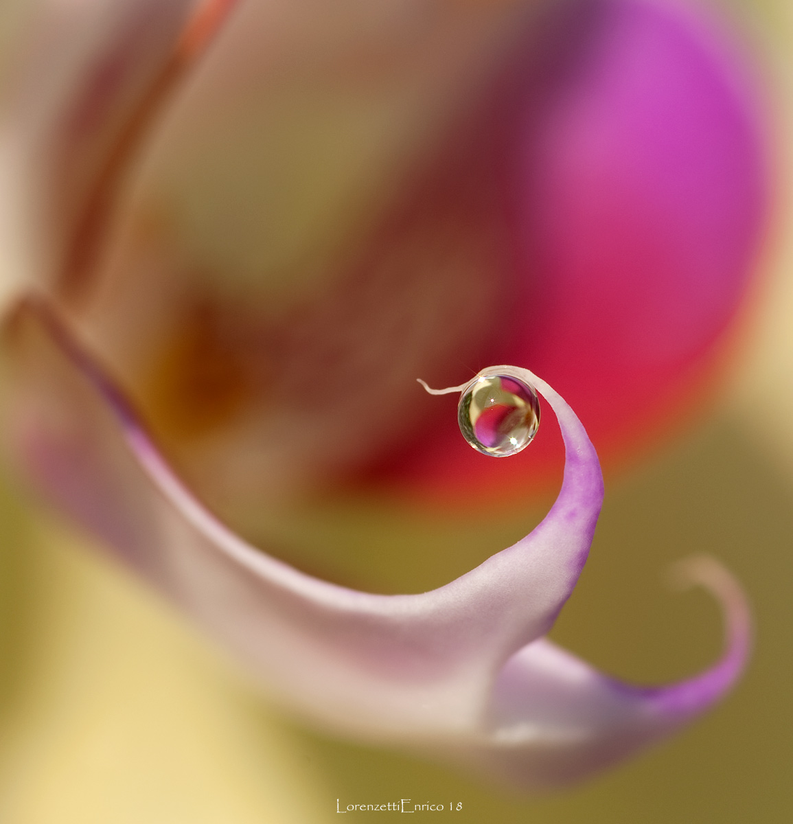 perla di cristallo..