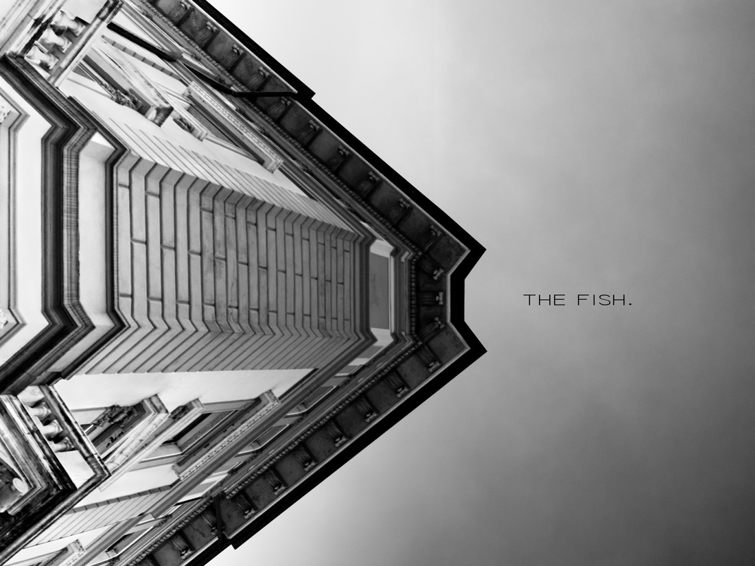 The fish