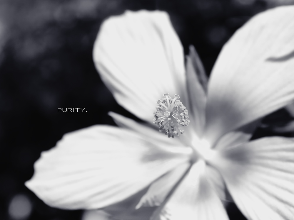 Purity