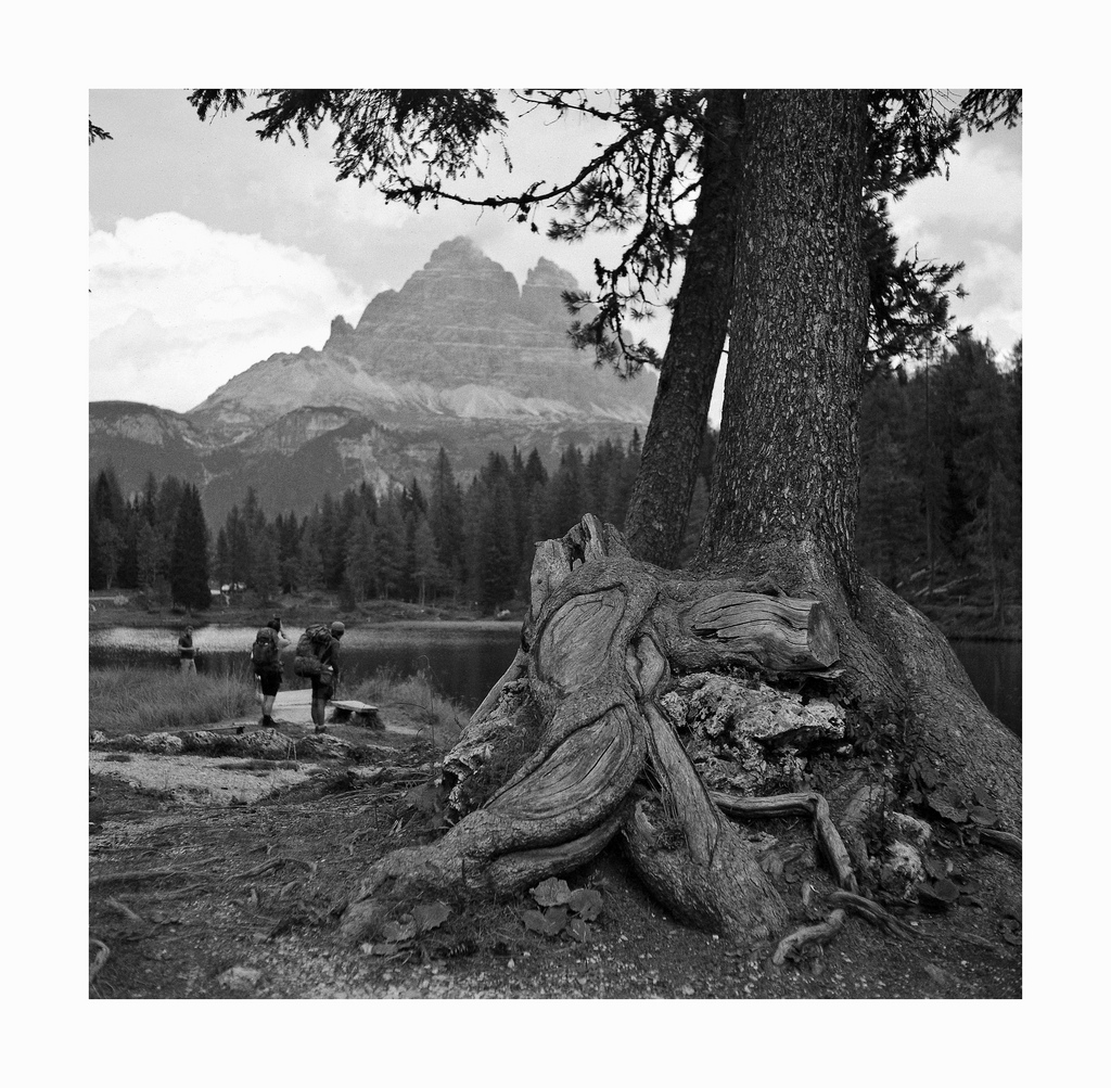 La Scintilla che ispira ...  ;/)