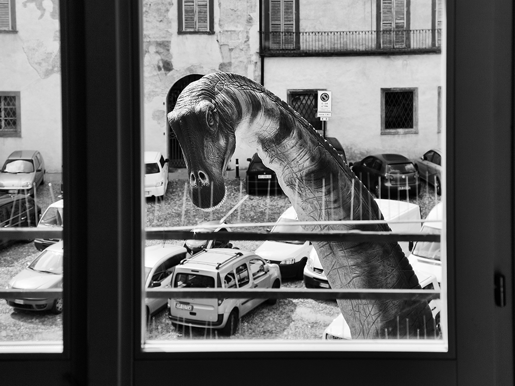 Non aprite quella finestra!!