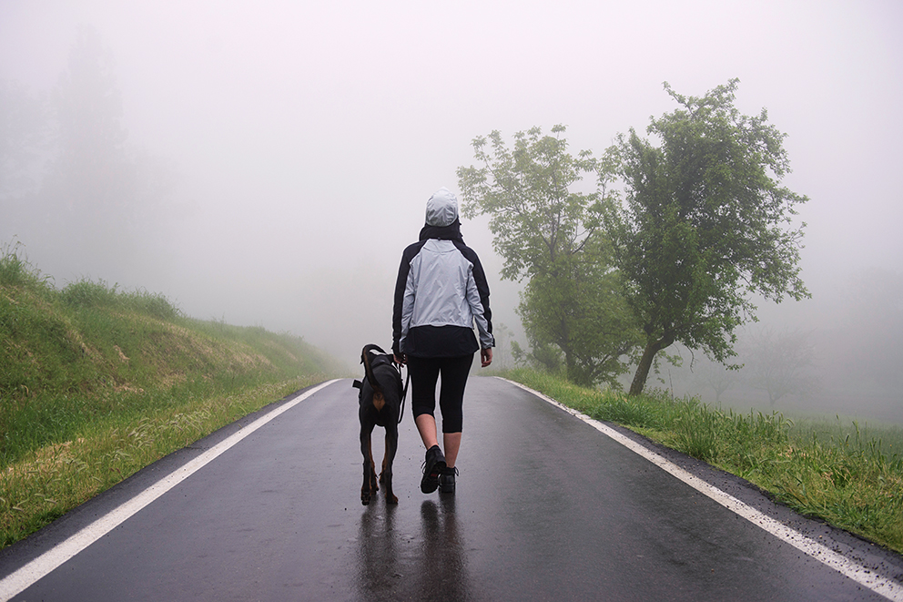 Insieme Sintonia Perfetta