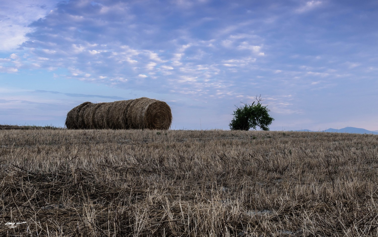 Alba su Rotoballe.2"