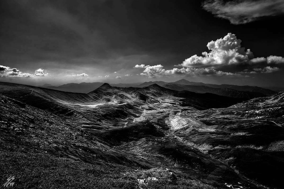 ..black and... little white..