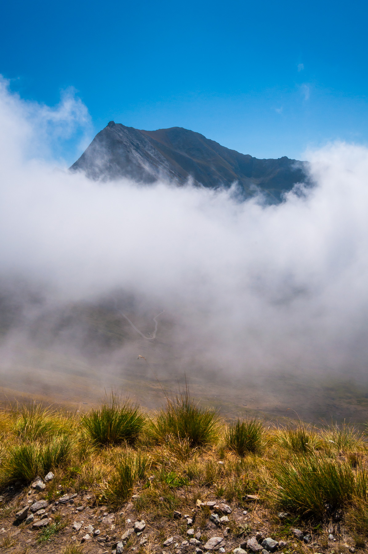 Principio e Conclusione