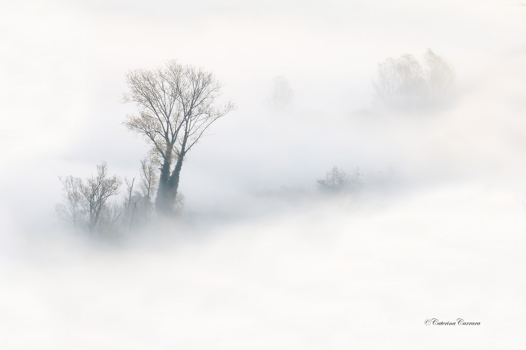 L'Adda e la sua nebbia