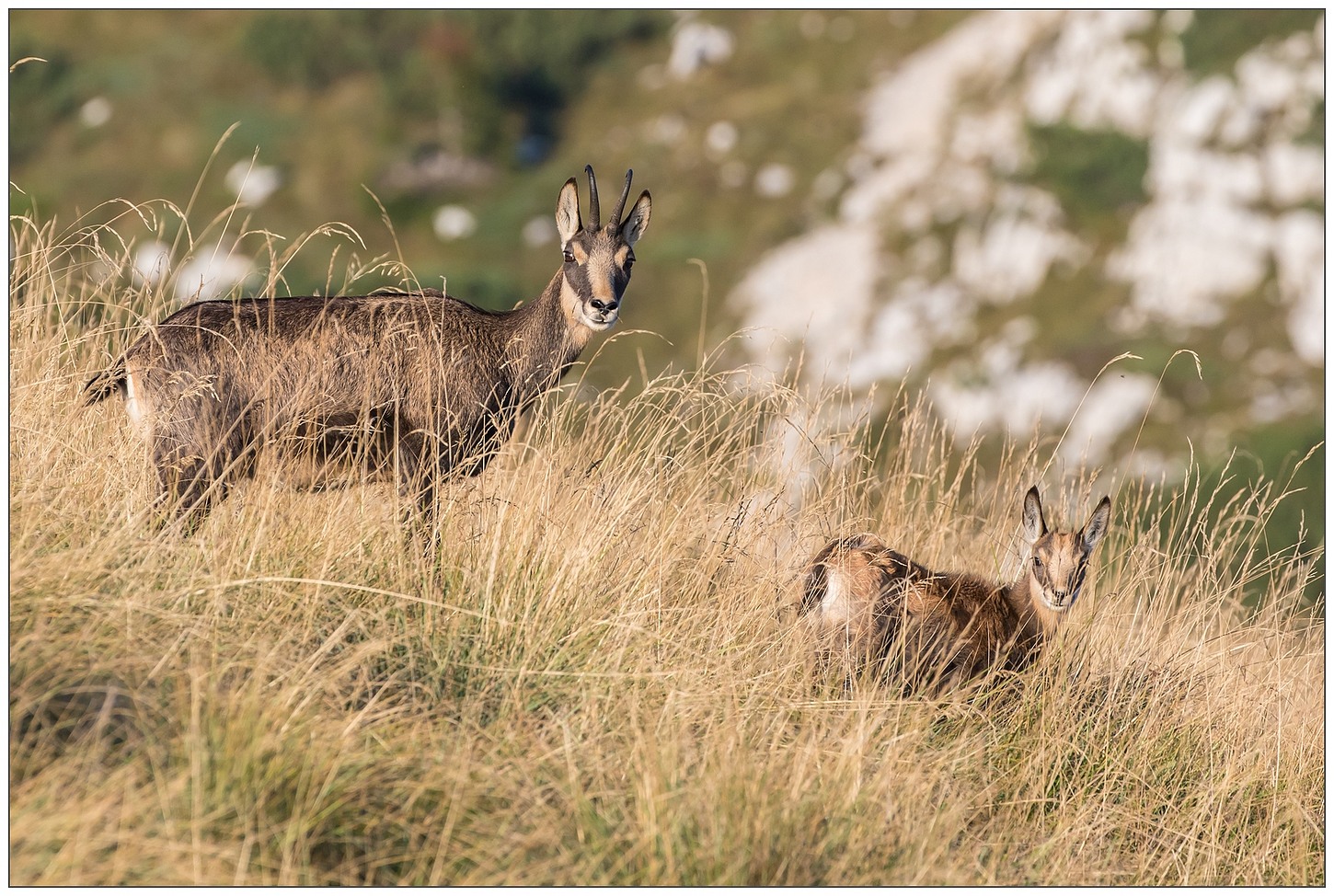 Ultime luci nella savana... 2000 metri slm