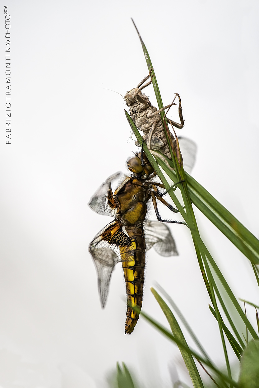 un boccone.....'stagionato'