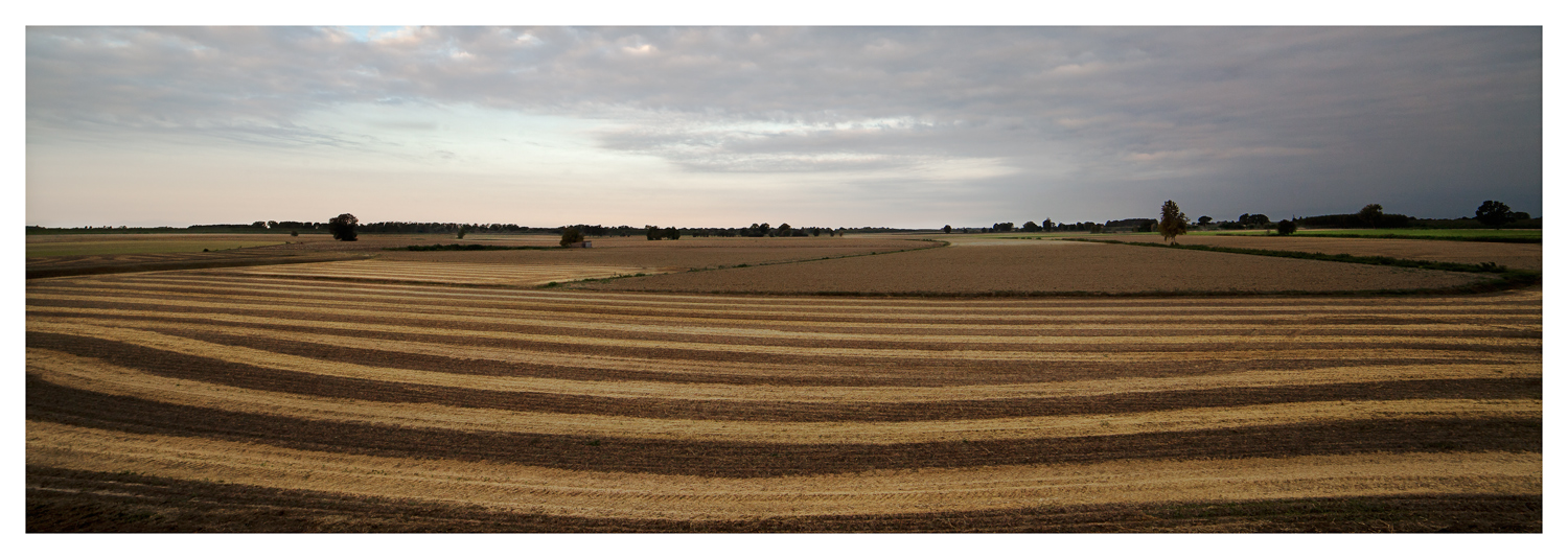 Strisce, strisce, strisce..