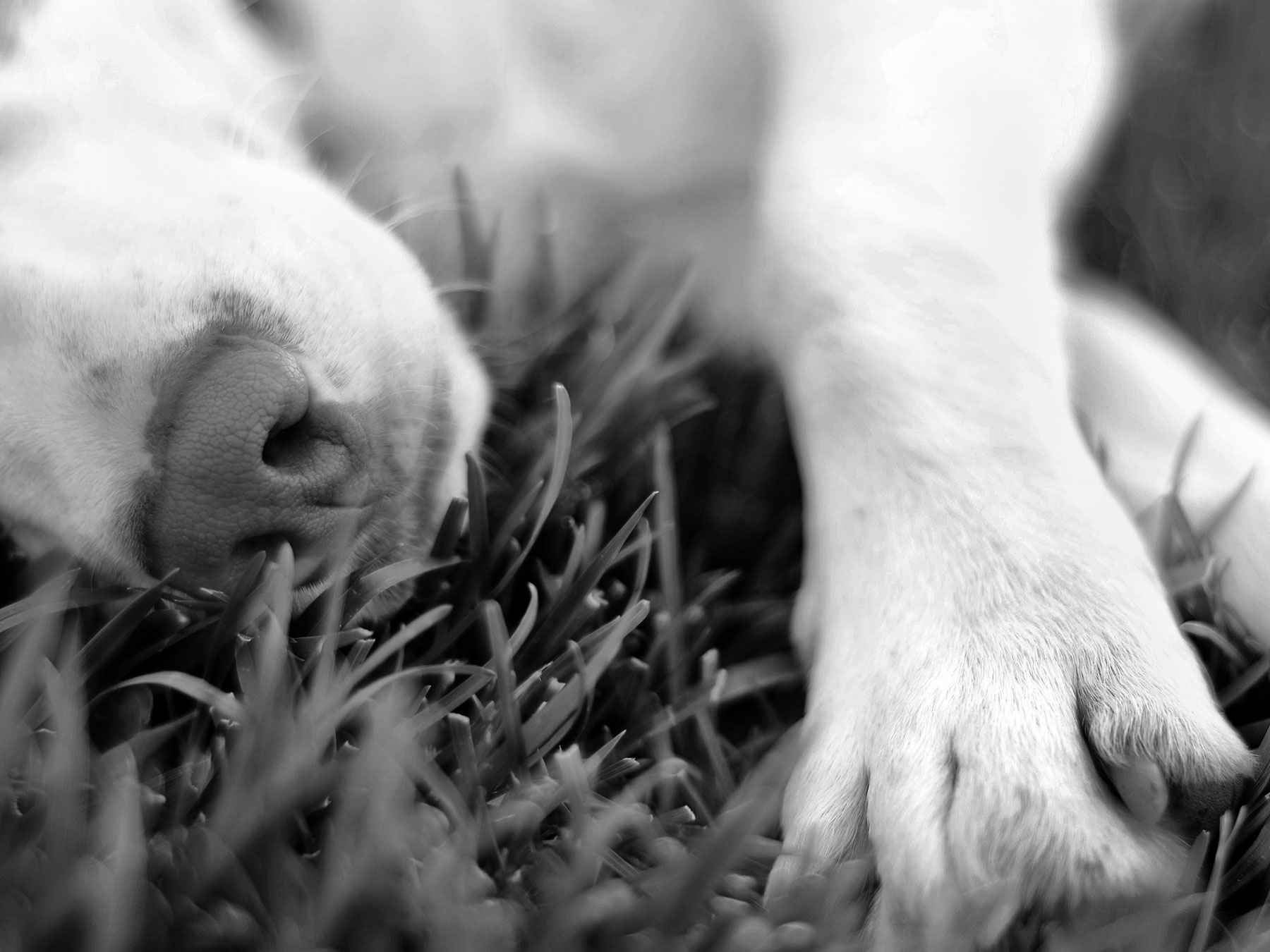 E arriva il week end...