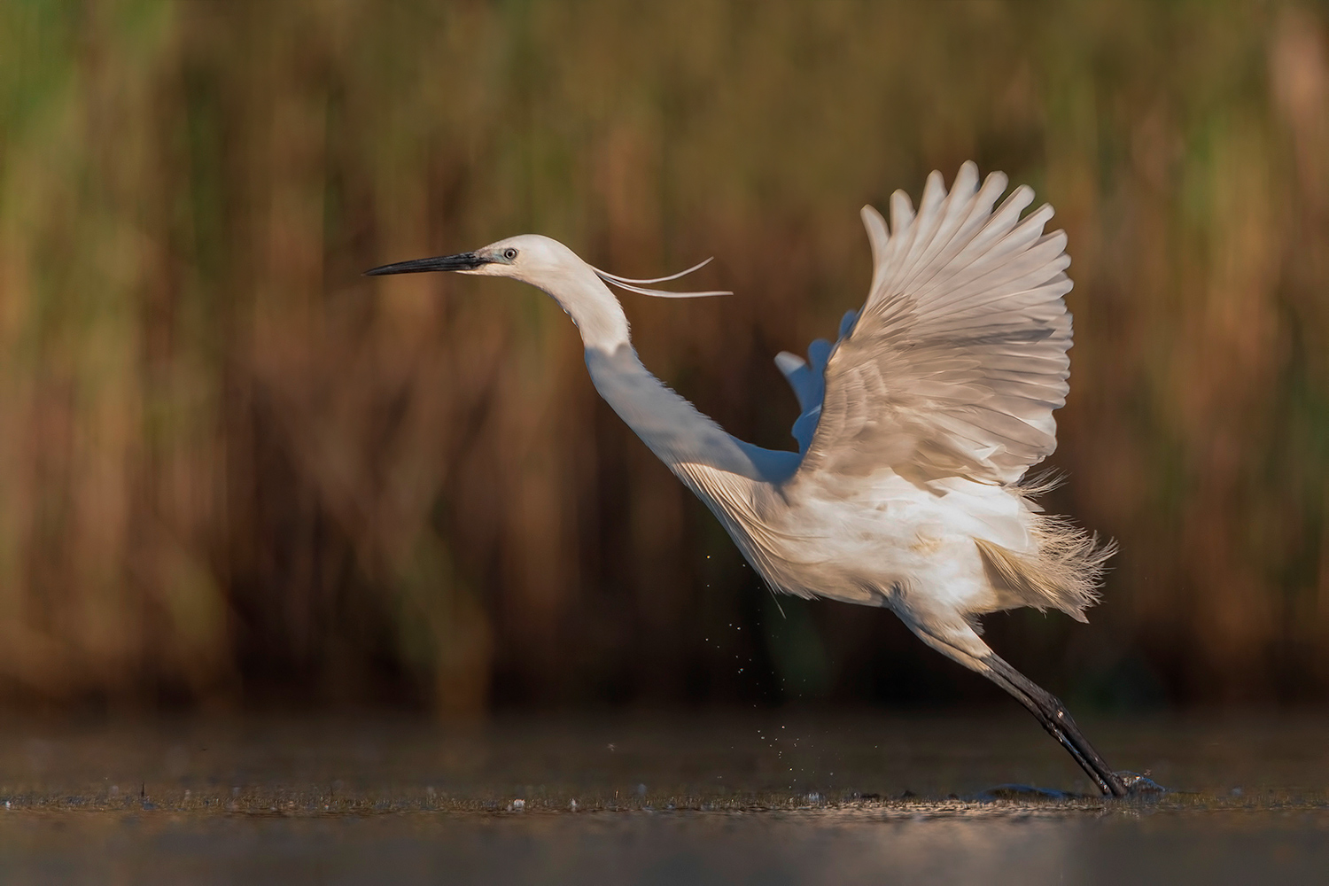 pronta al decollo.....