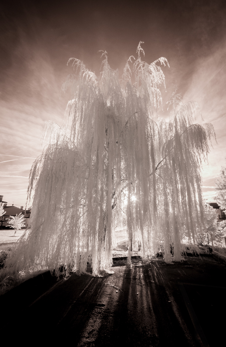 contest free 3a classificata