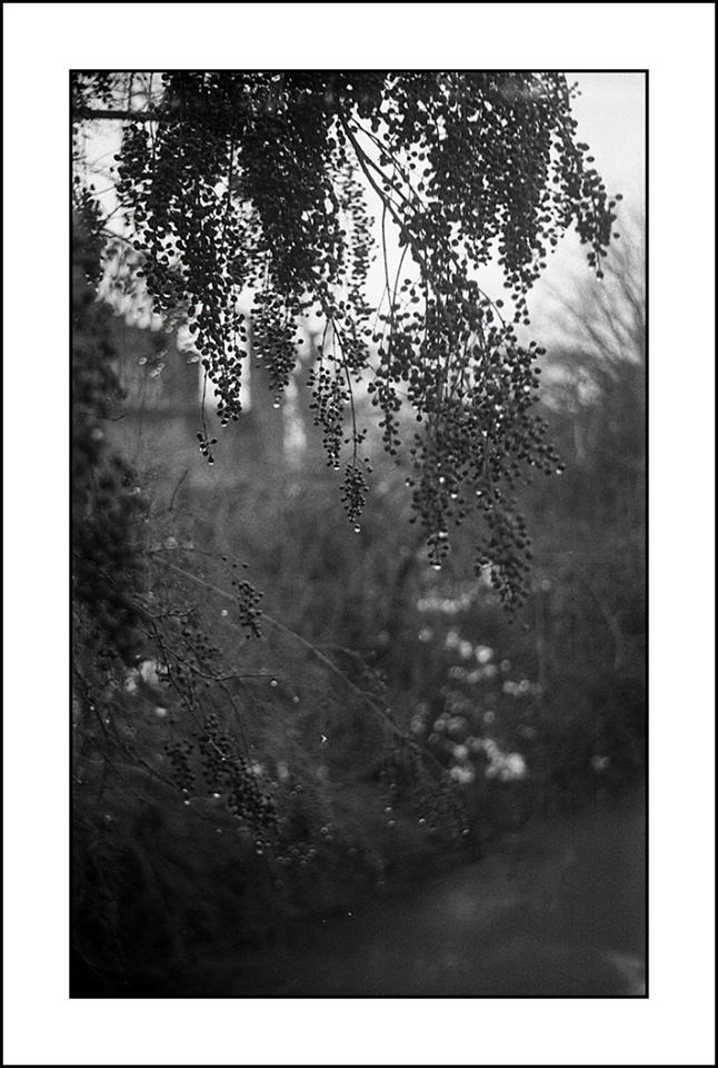 pianto d'Autunno ;/)