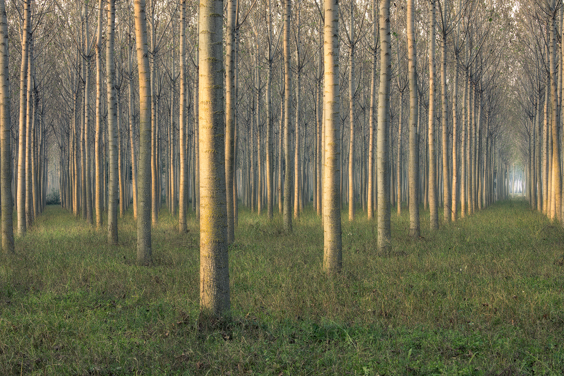 Inizio autunno in boschina