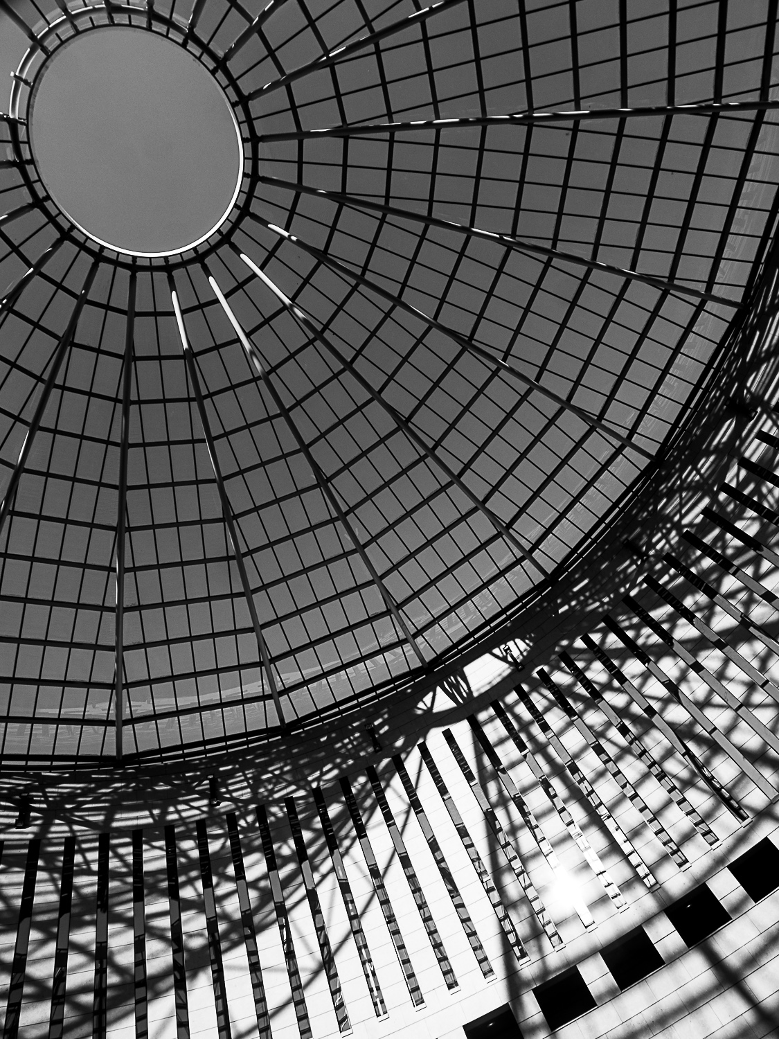 Linee a caaa....so (al MART)