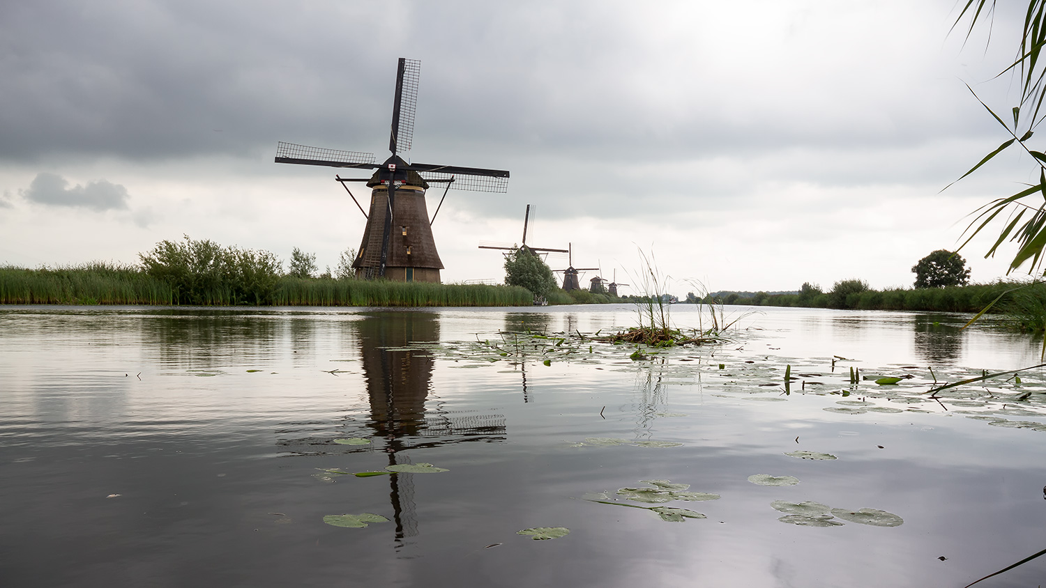 Kinderdijk 1/4