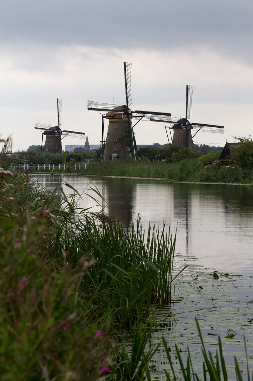 Kinderdijk 3/4