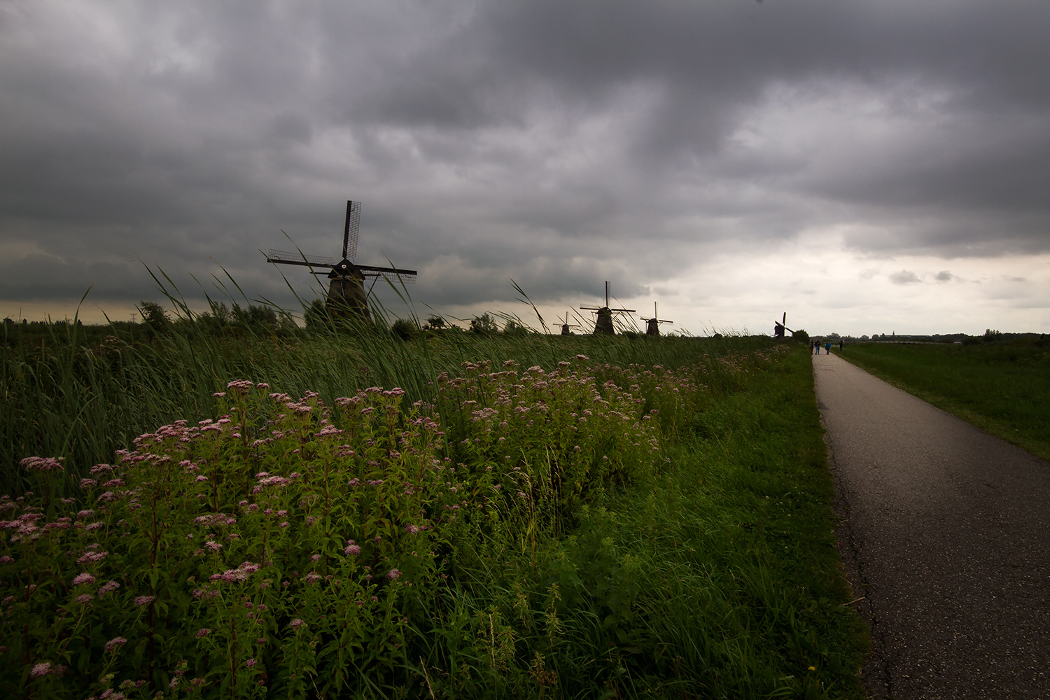 Kinderdijk 4/4