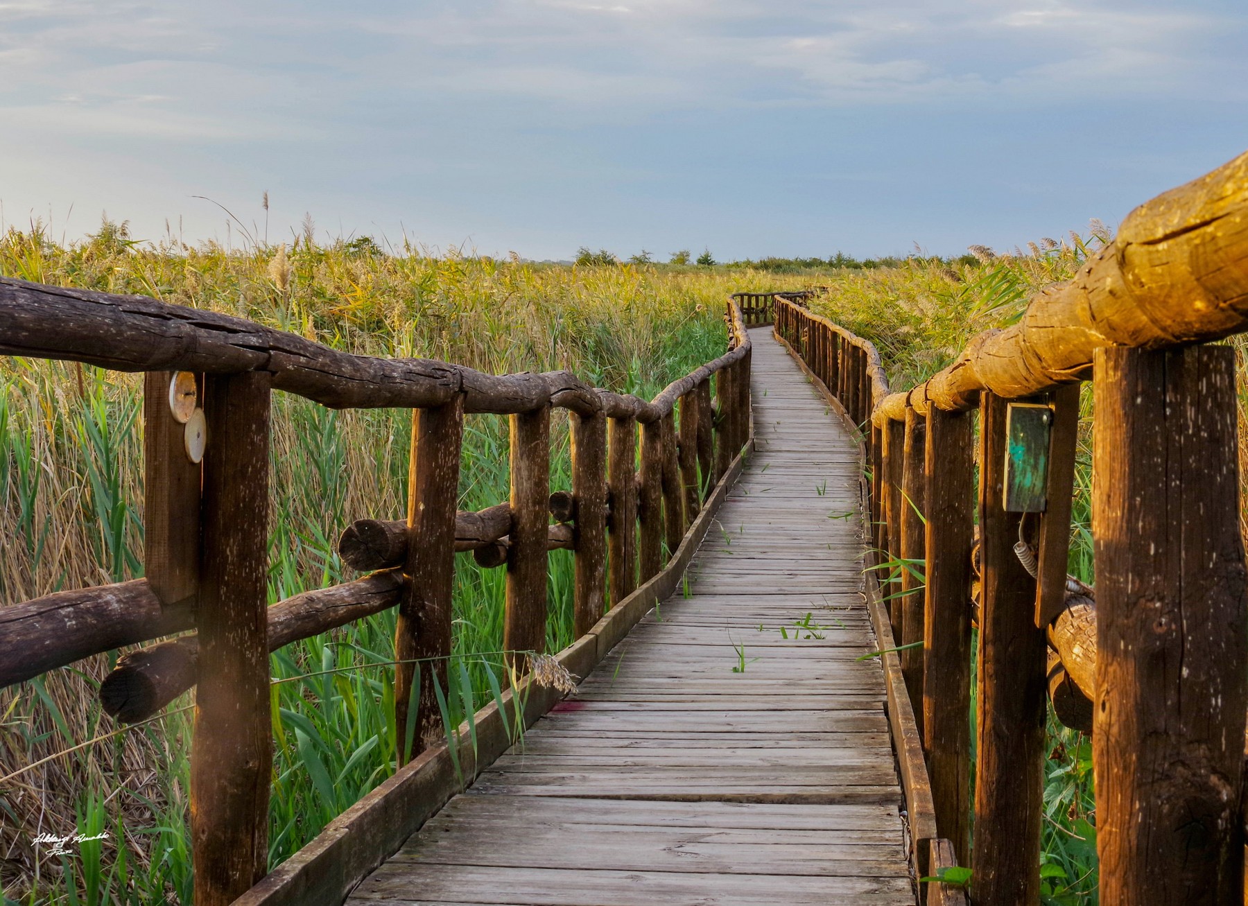 Il pontile lago Massaciuccoli