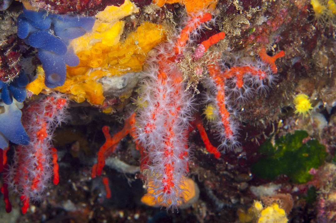 I colori del mare....