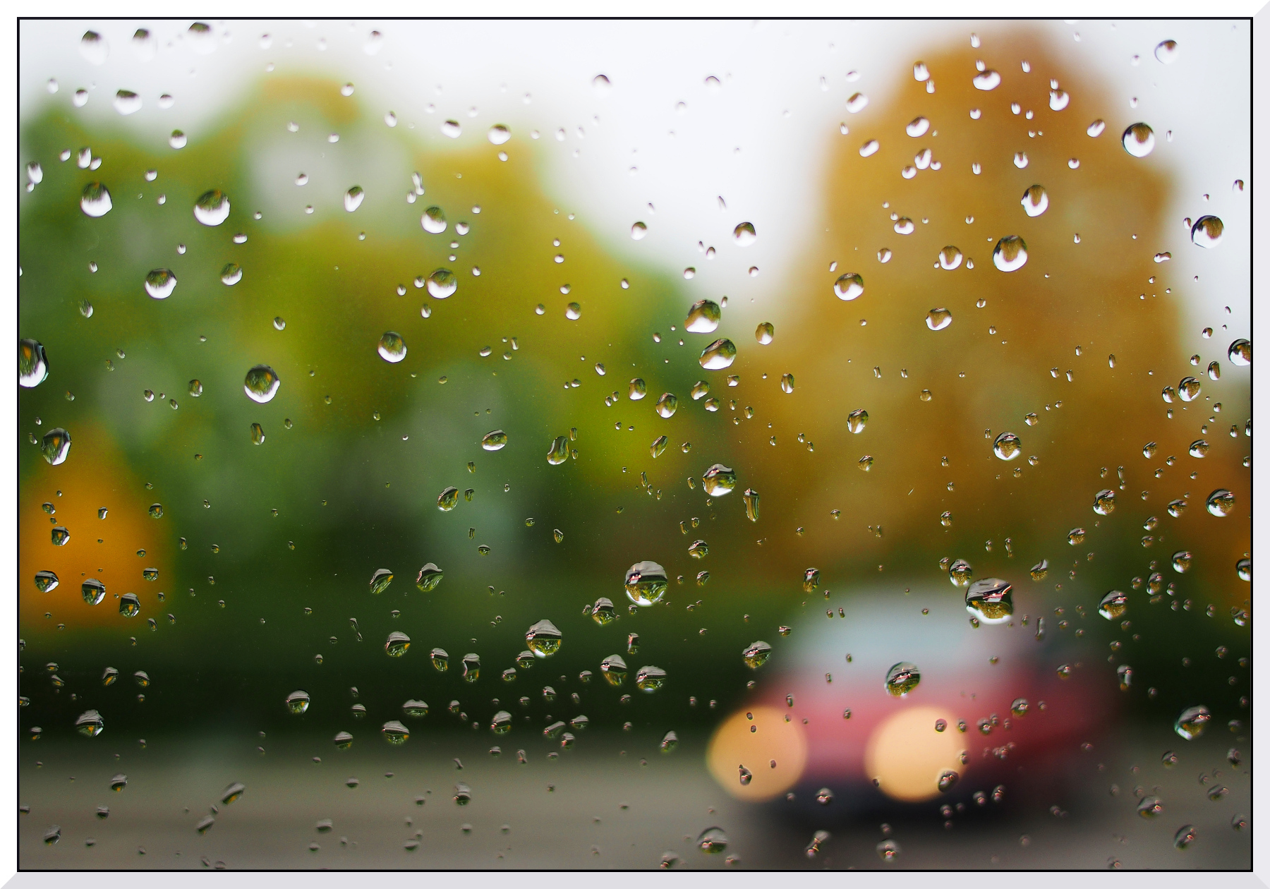 Pioggia nella citt� autunnale