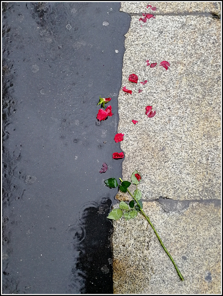 Un amore impossibile