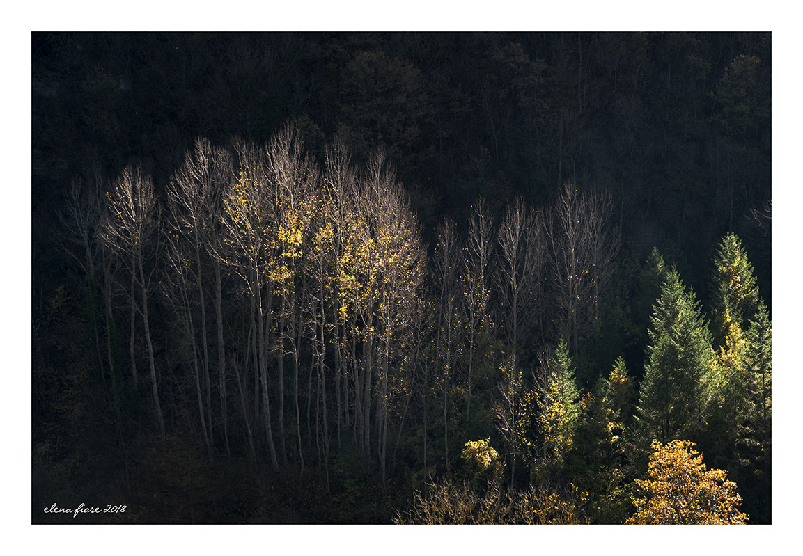 un raggio di luce sul crinale
