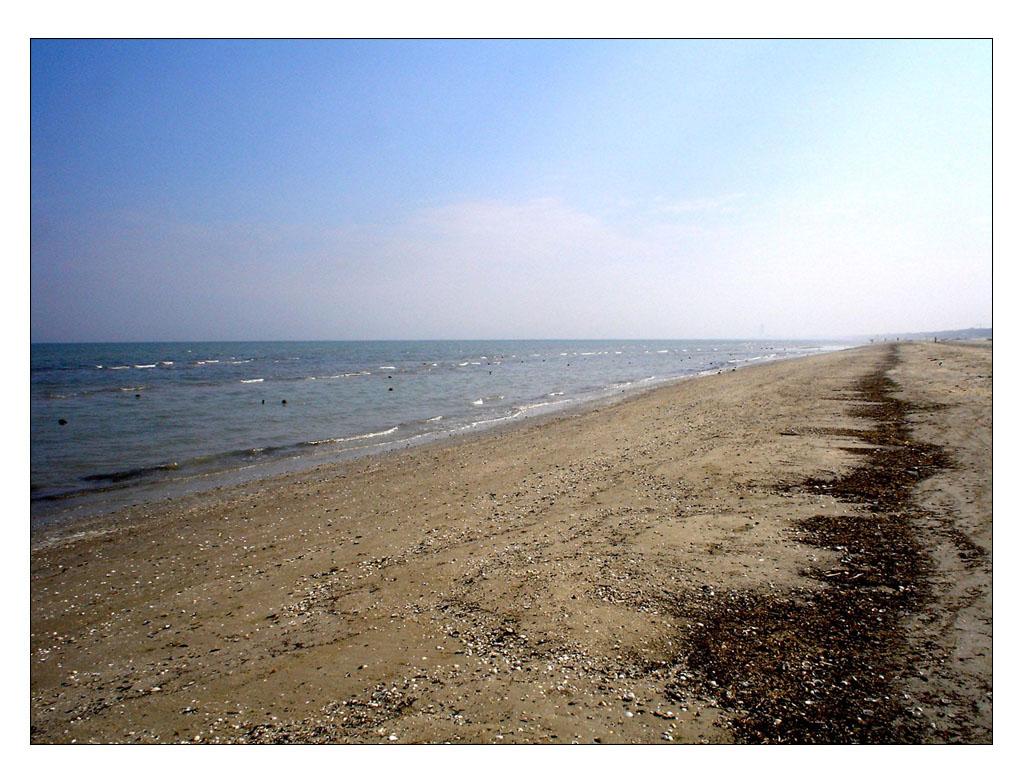 Un sentiero di conchiglie..