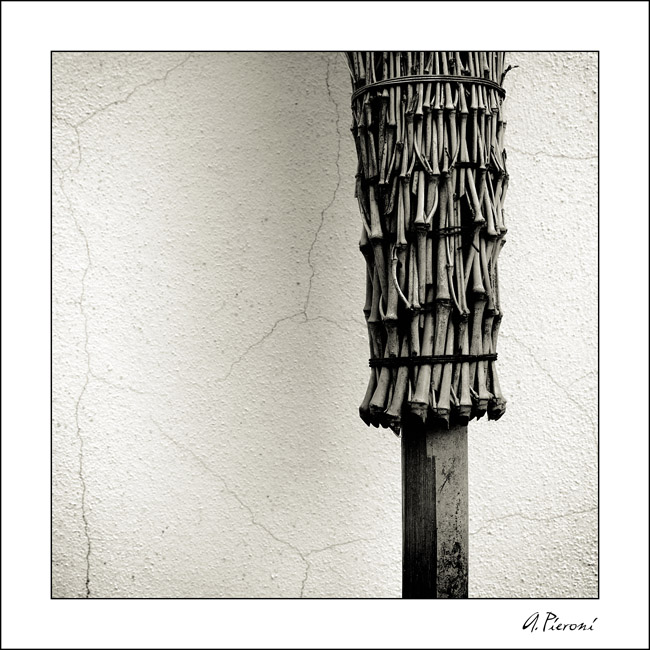 Broomstick study - 2006 - Nr.01