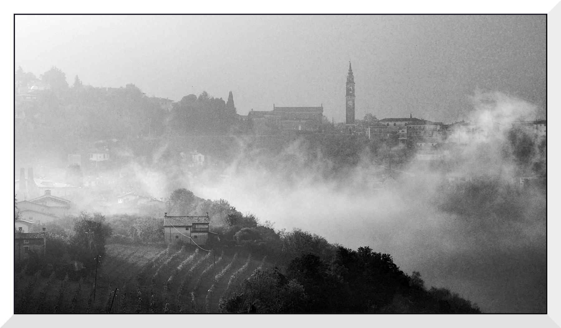Colli berici nebbiosi