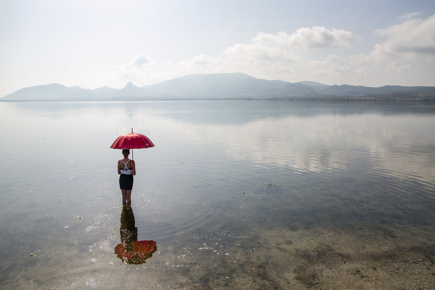 Una "mattina" allo stagno