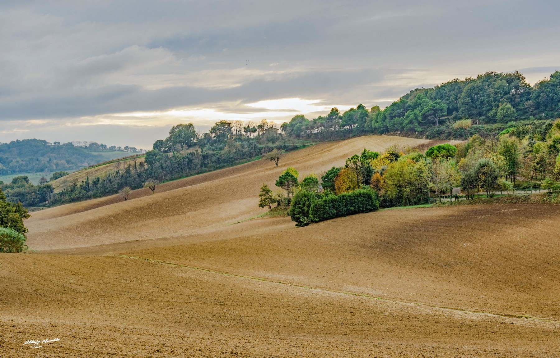 Campi appena lavorati..