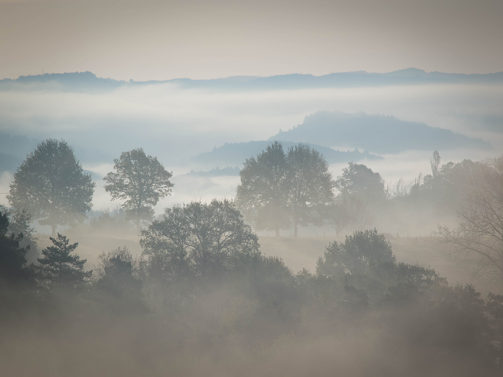Colori delicati del mattino