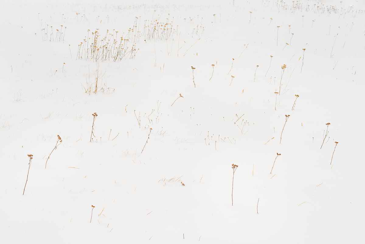 Frammenti d�Autunno