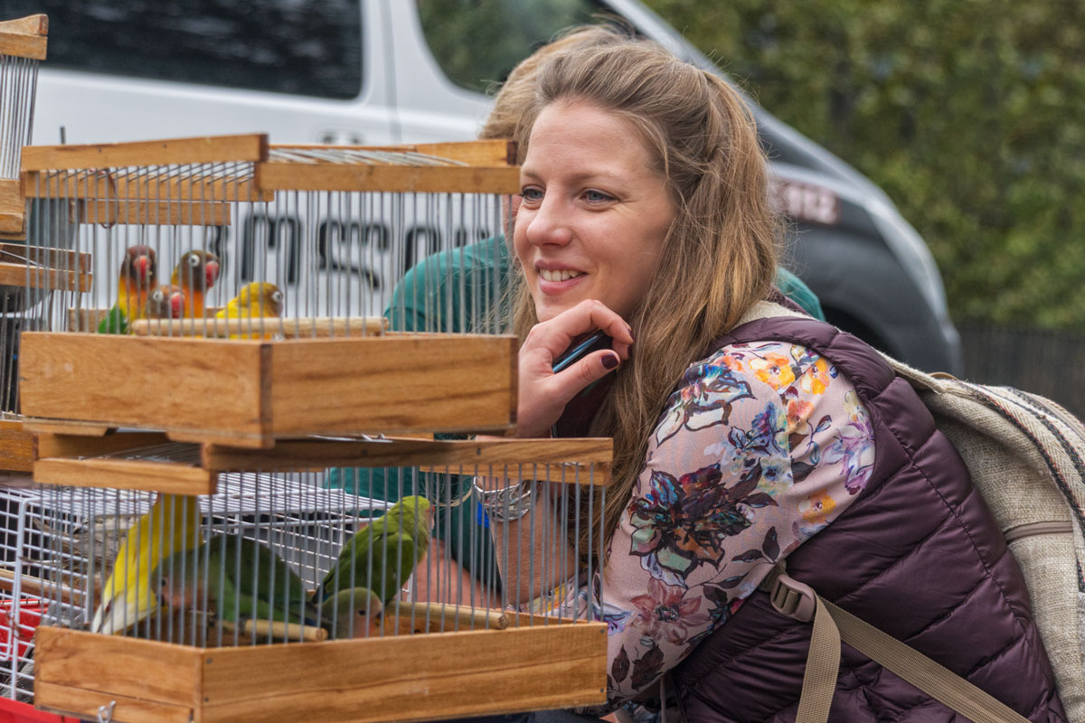 Mercato. Domenica. (2)