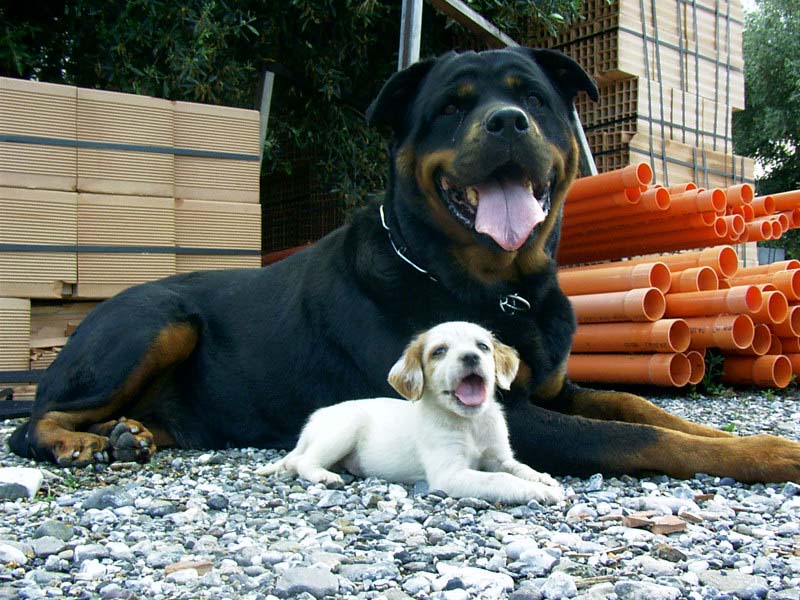 Siamo la coppia + bella del mondo