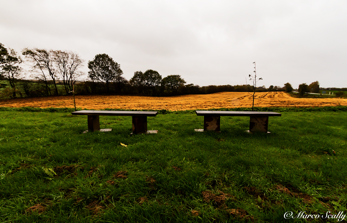 Le due panchine solitarie