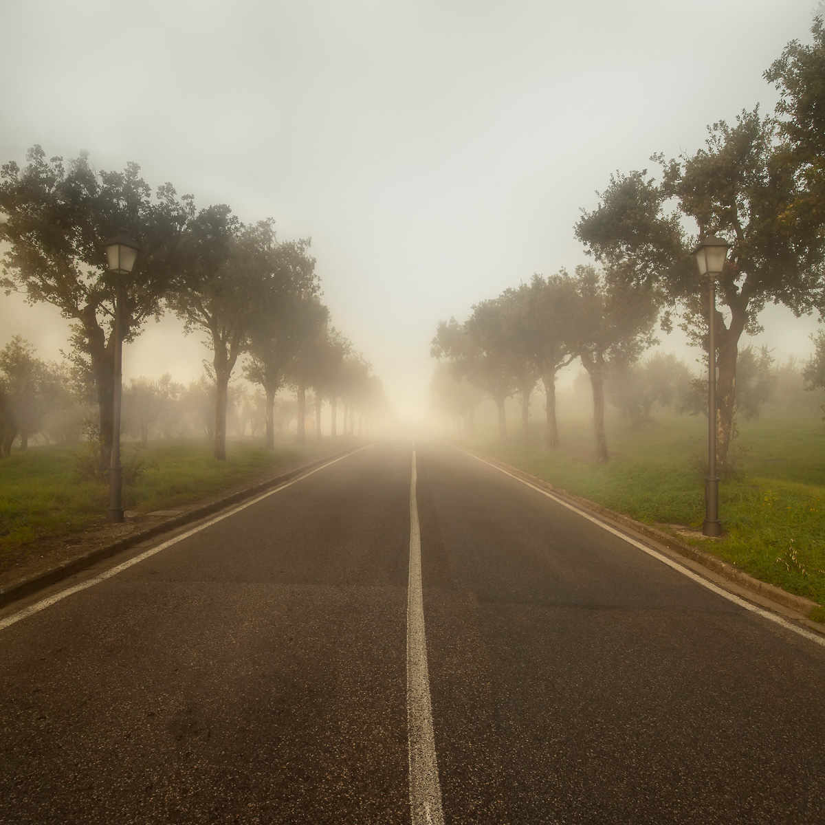 ..the road for fog..