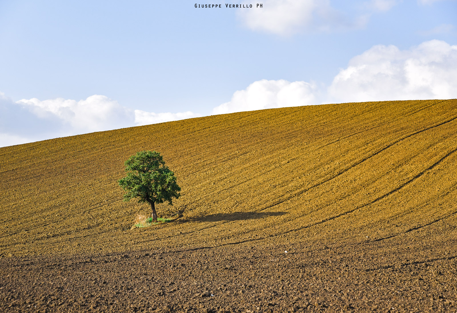 Due occhi non bastano per la Puglia