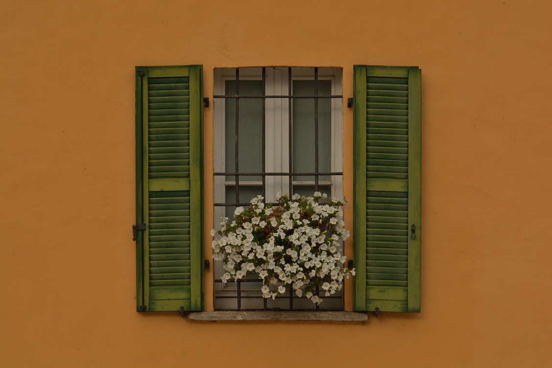 yellow window