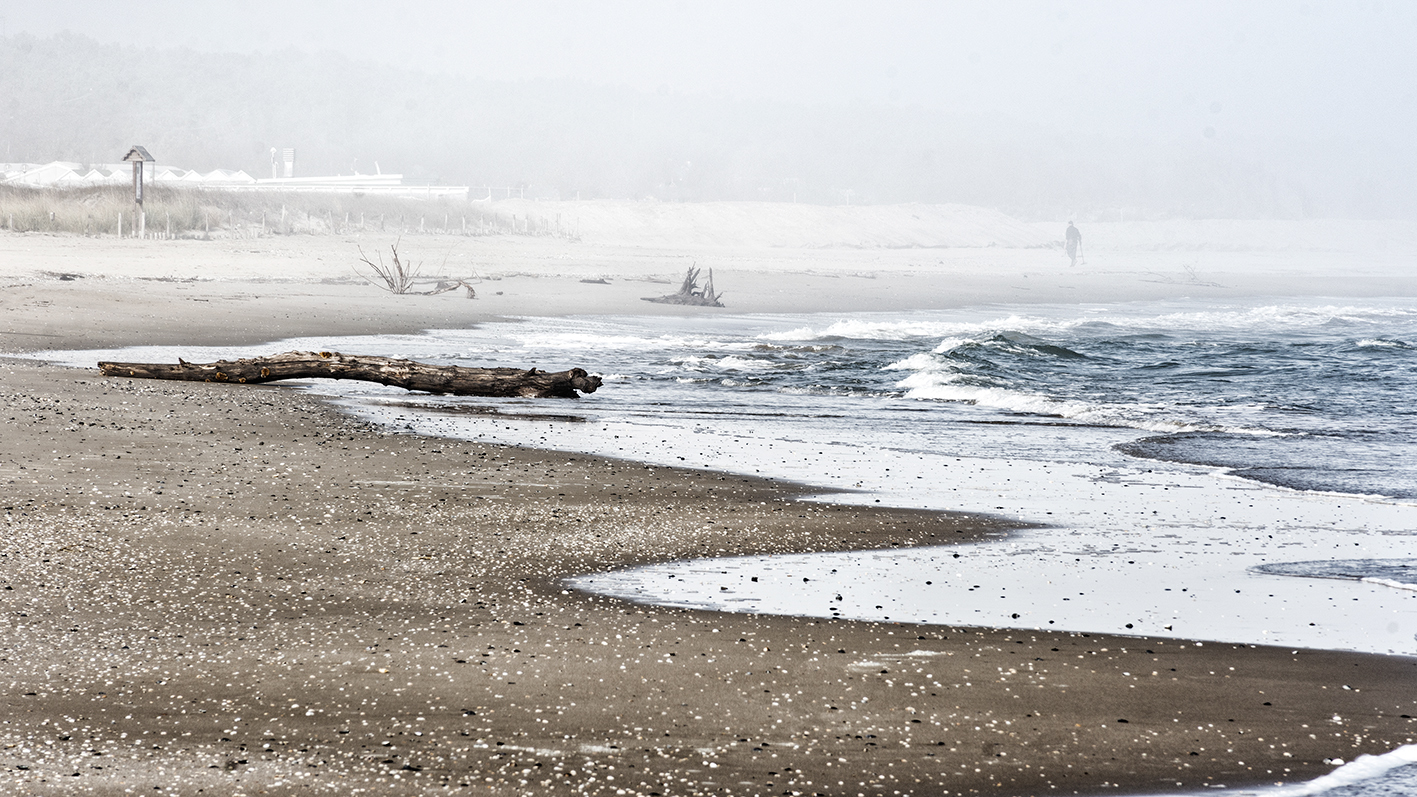 Avvolta nella nebbia