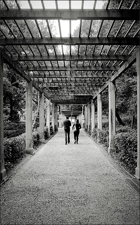 Trieste Miramare  img.019