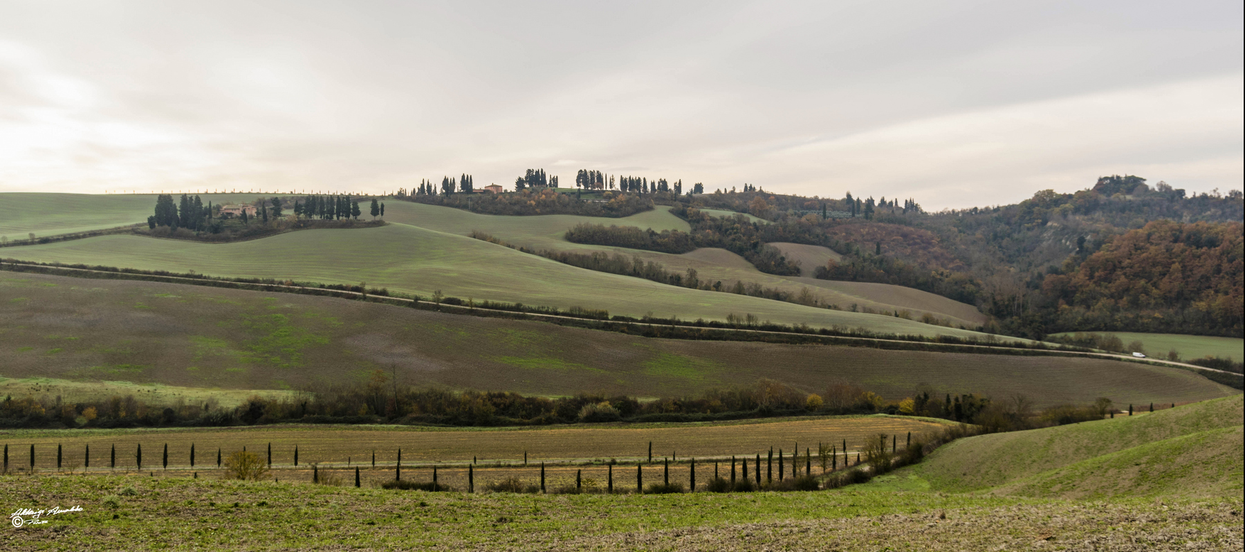 Percorrendo..nella riserva..lato opposto.