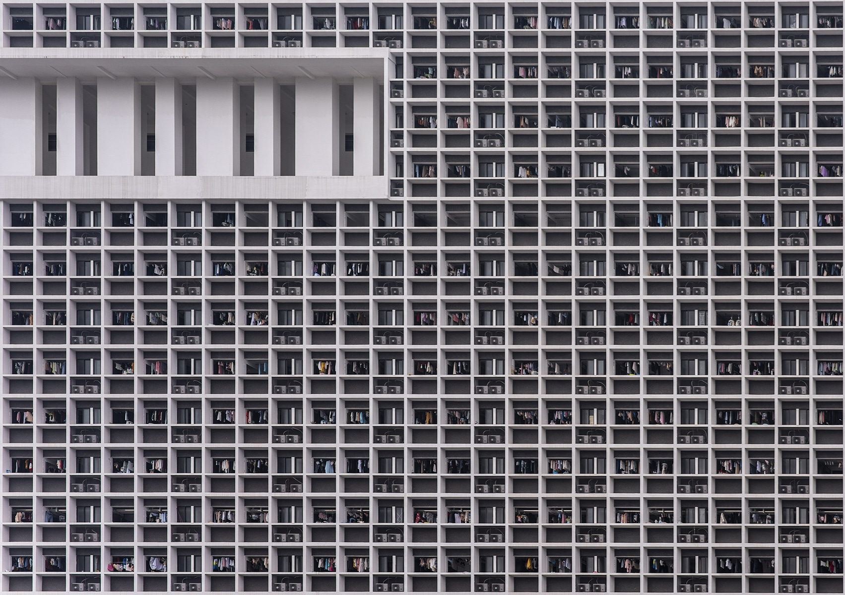 Allevamenti intensivi