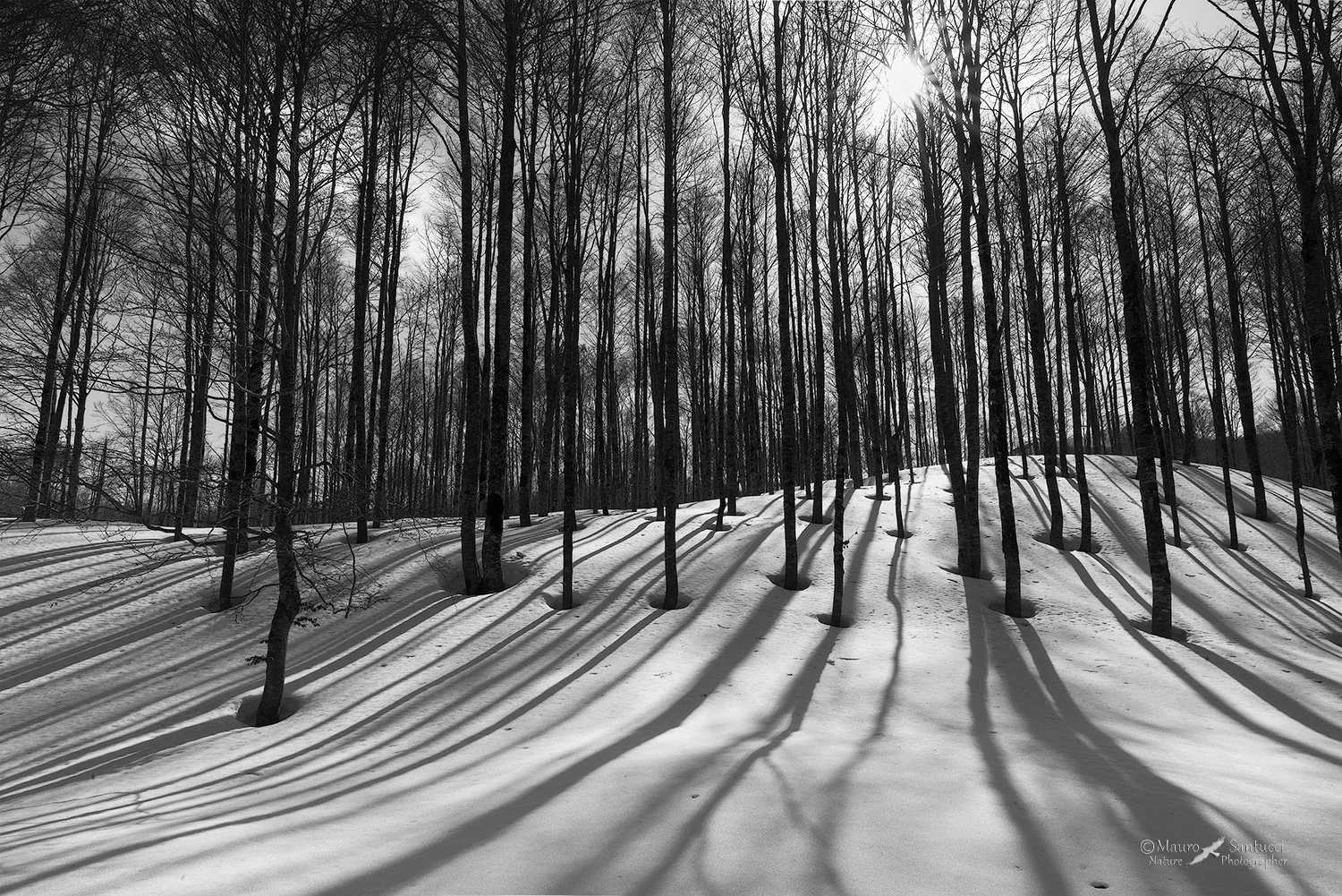 Long-shadows_DSC3077