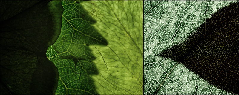 Reinterpretation 05 - asymmetric diptych