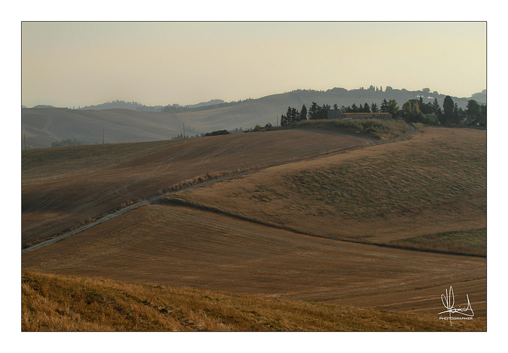 Classico Toscano