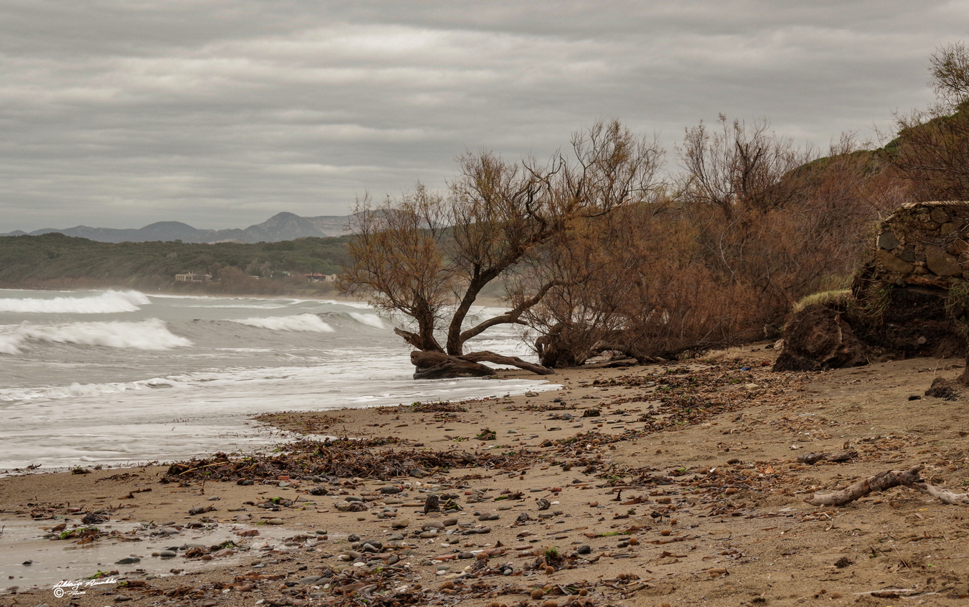 L'inverno..nel Golfo di Baratti.1