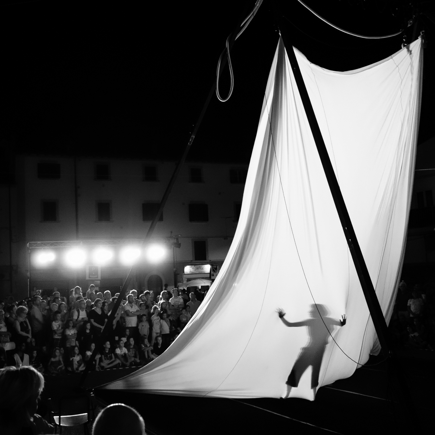 L'ombra dell'artista 2