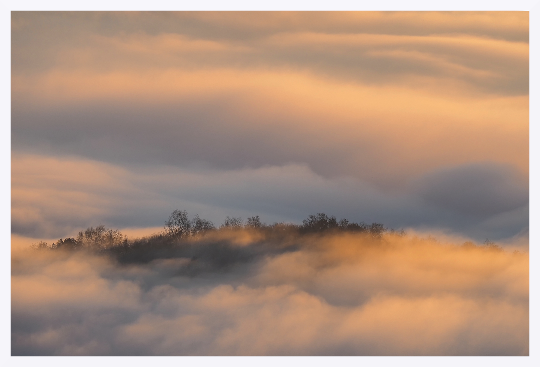Isola collinare all'alba